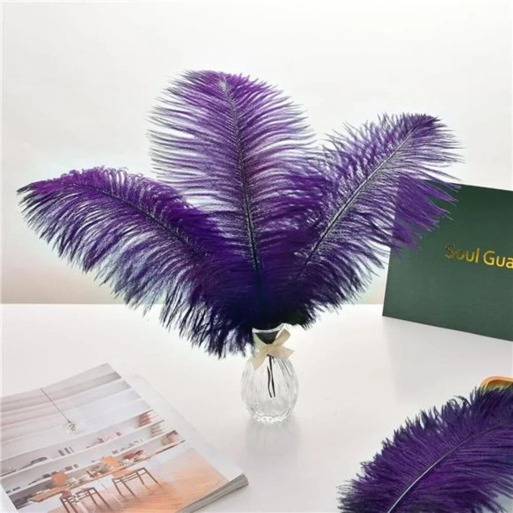 Purple Ostrich Feathers Bulk -24Pcs 10-12inch Feathers for Vase,Party Mardi Gras